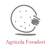 Elisabetta Foradori en vente en ligne chez Exclusive Wine Company